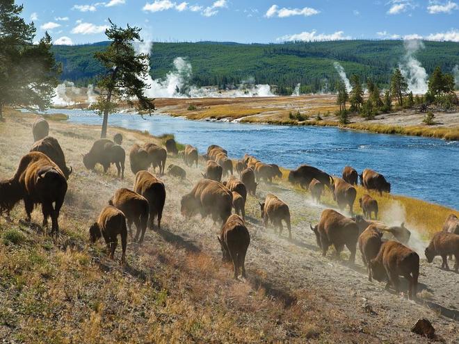 ​Yellowstone ở Mỹ là công viên quốc gia đầu tiên trên thế giới.